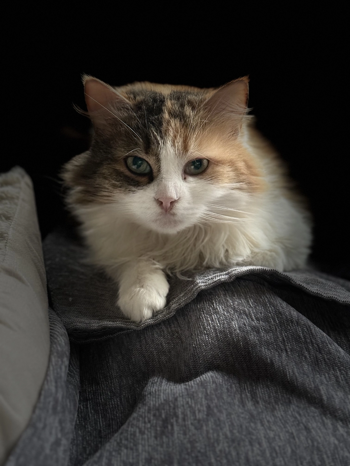 Nicole Bethke - Kartenlegen Mit Lebensberatung - Kat