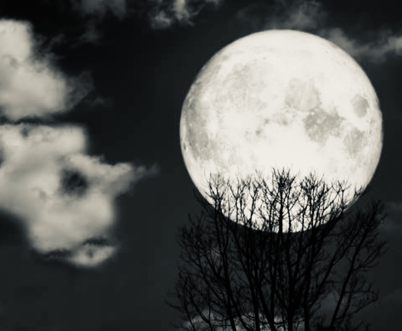 Nicole Bethke – Kartenlegen Mit Lebensberatung – Kartenlegen Lebensberatung